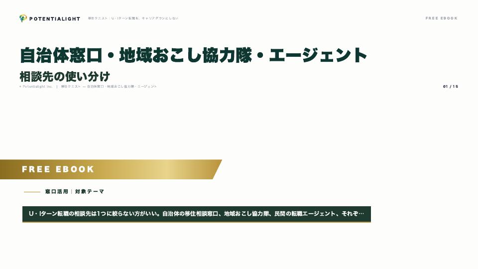自治体窓口・地域おこし協力隊・エージェント — 相談先の使い分け eBook表紙